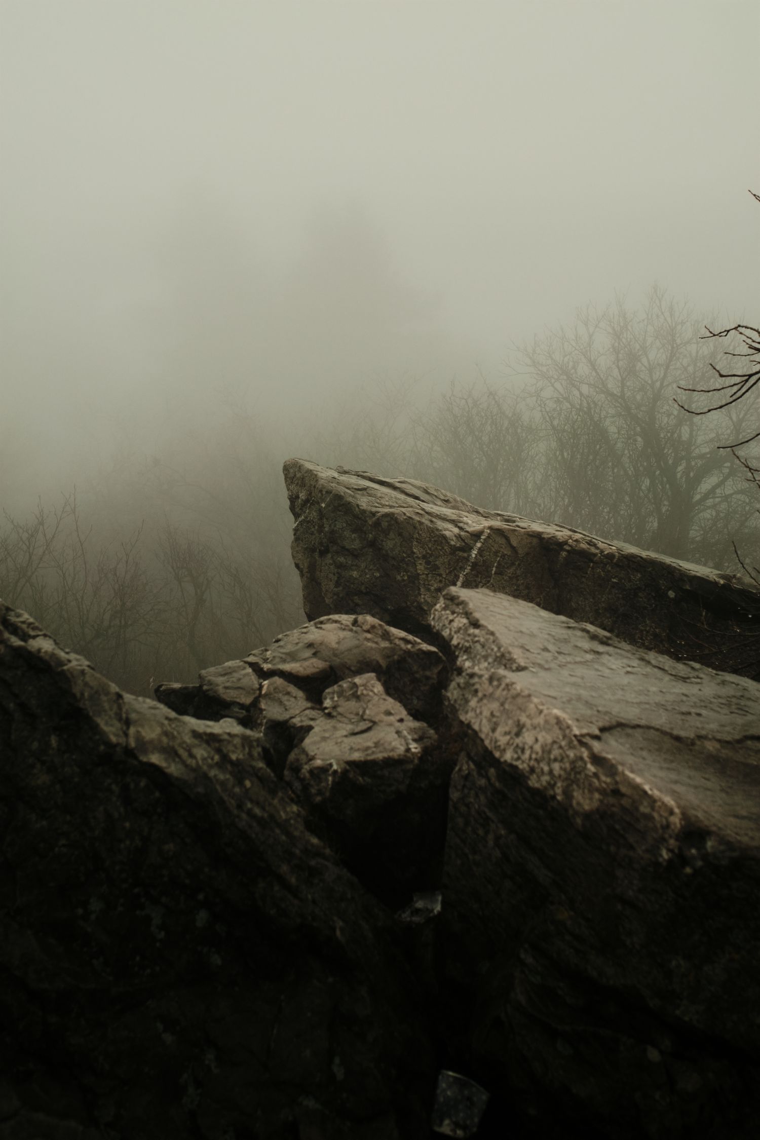 https://toh.photography/media/pages/nft/the-moody-day-hike/4f5996ebb5-1635110734/dscf5660.jpg