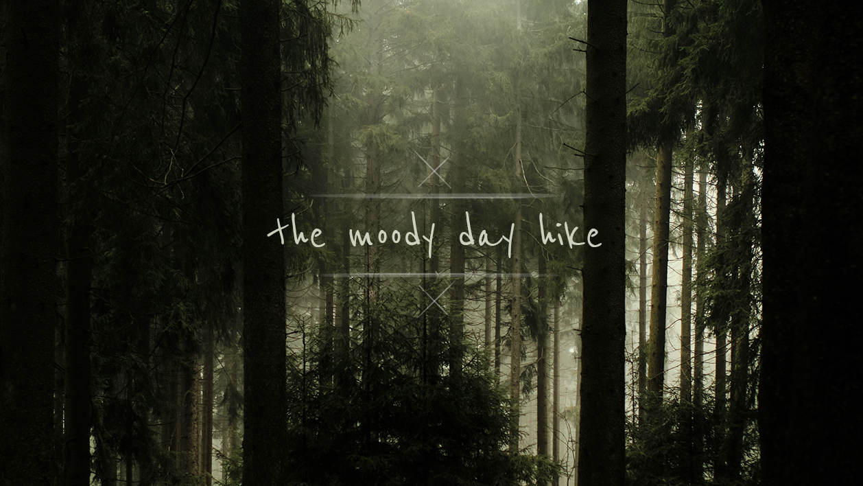 Cover picture of project the moody day hike