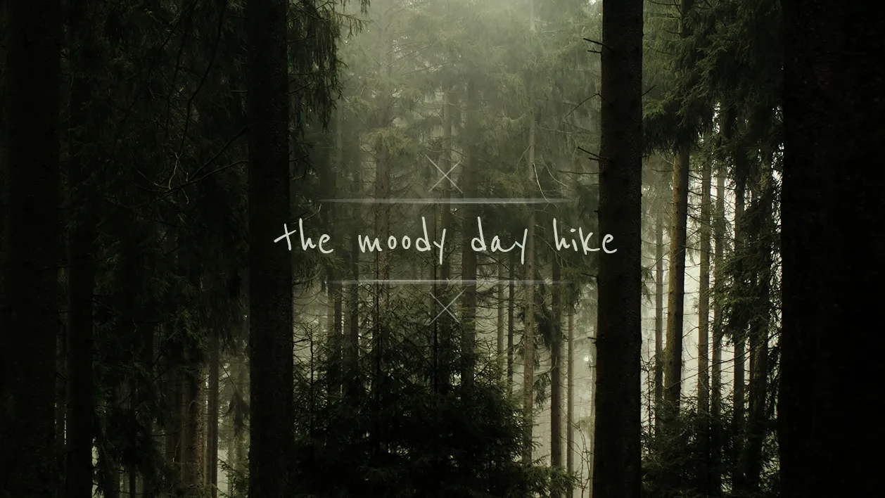 Cover picture of project The moody day hike