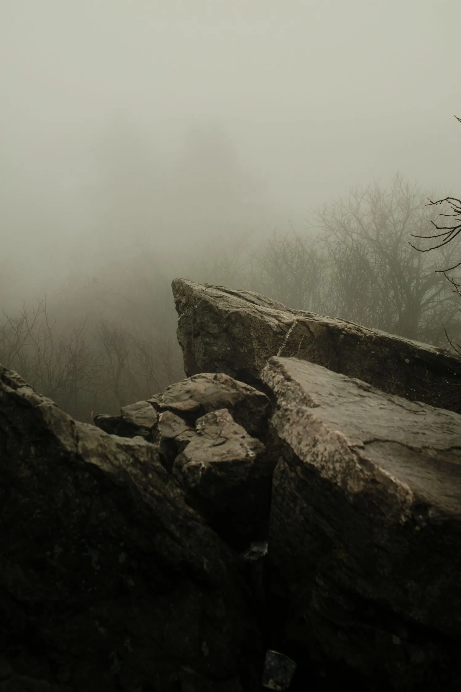 https://toh.photography/media/pages/nft/the-moody-day-hike/c8dffe10d0-1776854877/dscf5660.webp