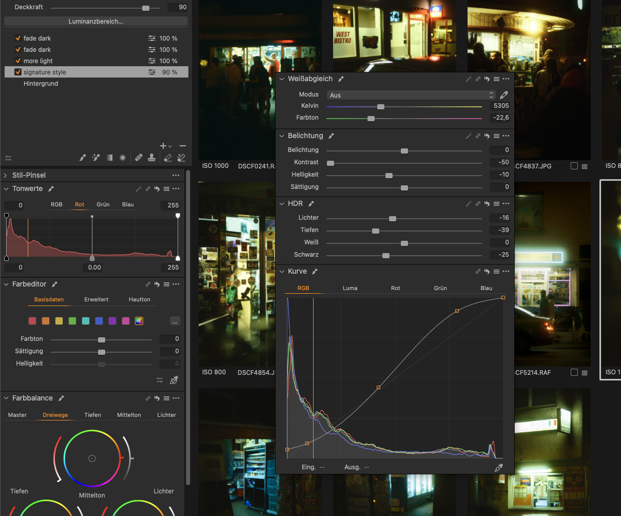 Bildbearbeitung mit Capture One - Exemplarische Vorgehensweise